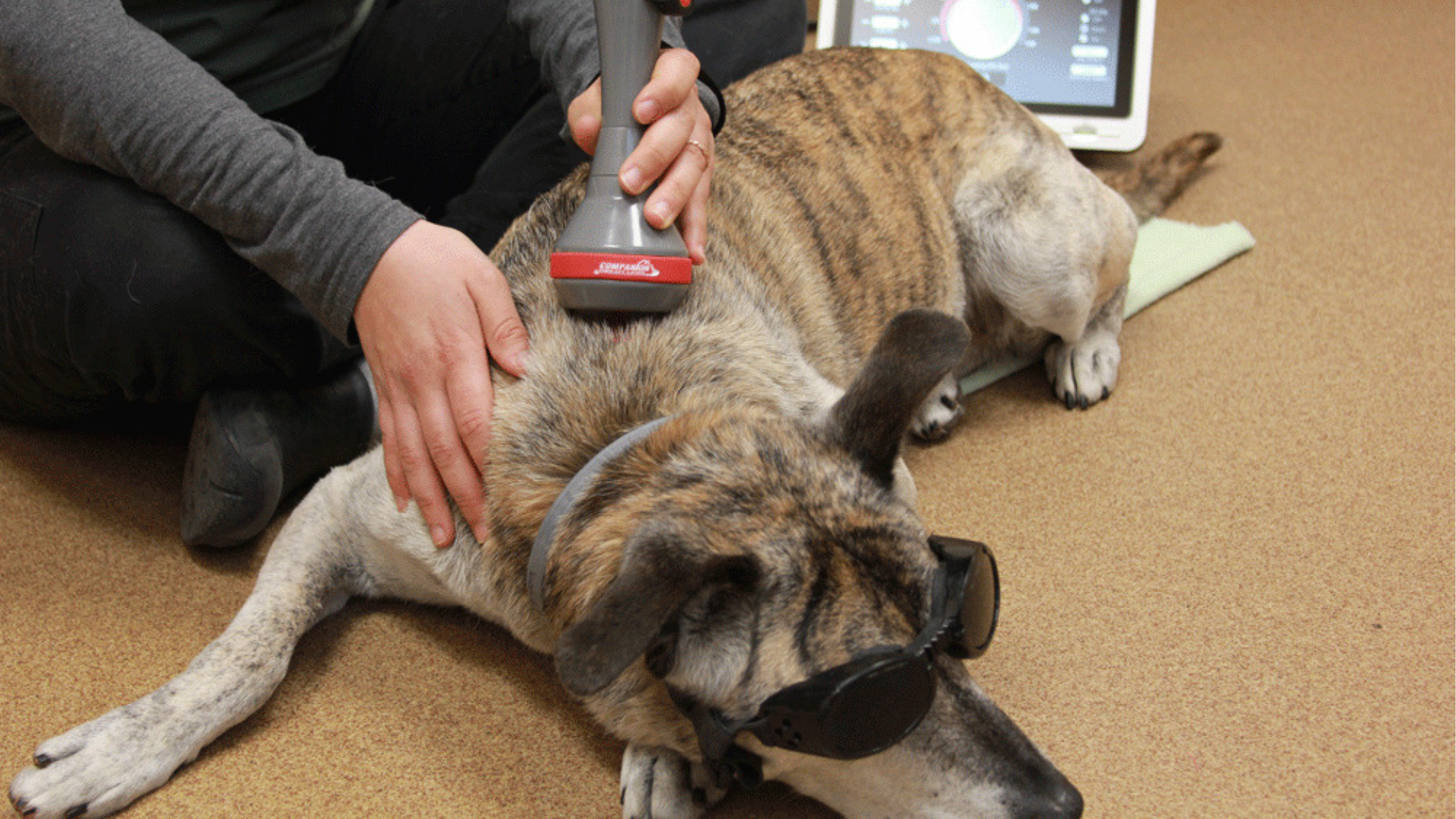 laser therapy